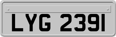 LYG2391