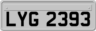 LYG2393