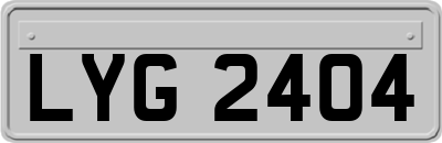 LYG2404