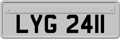LYG2411
