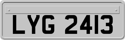 LYG2413