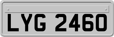 LYG2460