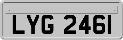 LYG2461