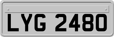 LYG2480