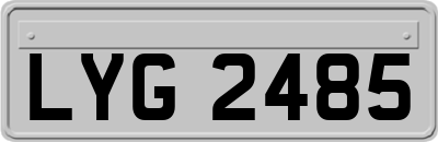 LYG2485