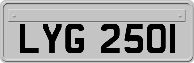 LYG2501