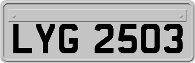 LYG2503