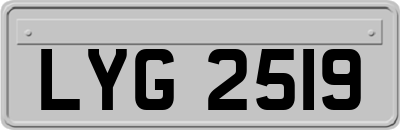 LYG2519