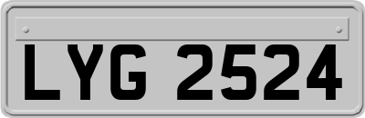 LYG2524