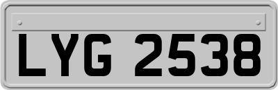 LYG2538