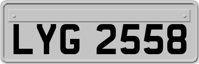 LYG2558