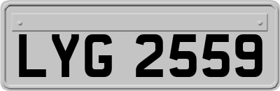 LYG2559