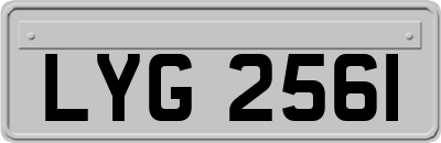 LYG2561