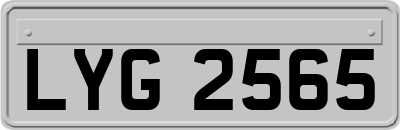 LYG2565