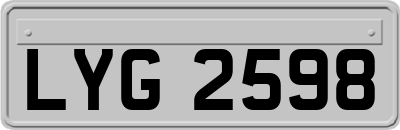 LYG2598