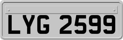 LYG2599