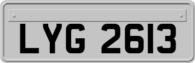 LYG2613