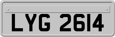 LYG2614