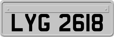 LYG2618