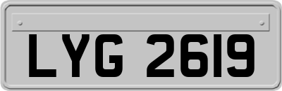 LYG2619