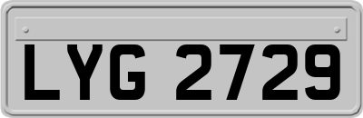 LYG2729