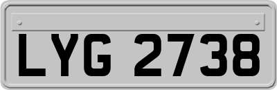 LYG2738