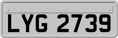 LYG2739