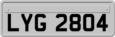 LYG2804
