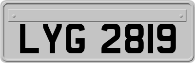 LYG2819