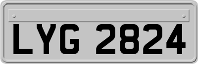 LYG2824