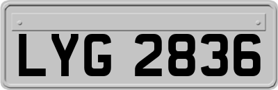 LYG2836