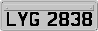 LYG2838
