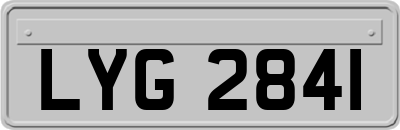 LYG2841