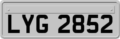 LYG2852