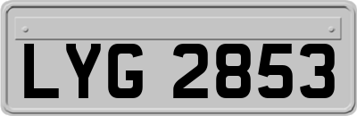 LYG2853