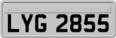 LYG2855