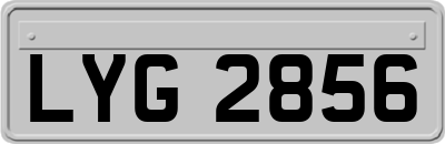 LYG2856