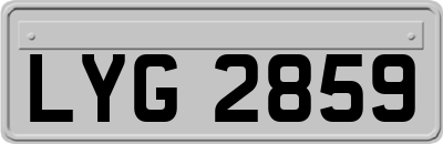 LYG2859