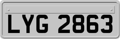 LYG2863