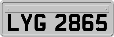 LYG2865