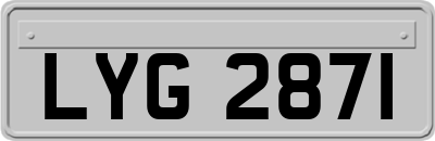 LYG2871