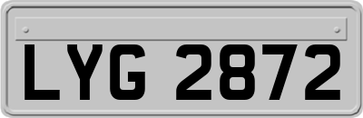 LYG2872