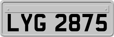 LYG2875