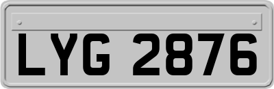 LYG2876