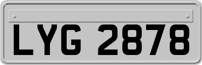LYG2878