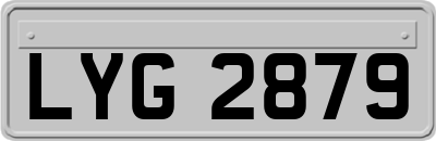 LYG2879
