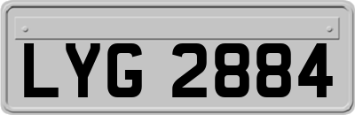LYG2884