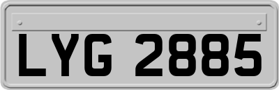 LYG2885