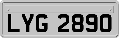 LYG2890