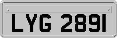 LYG2891